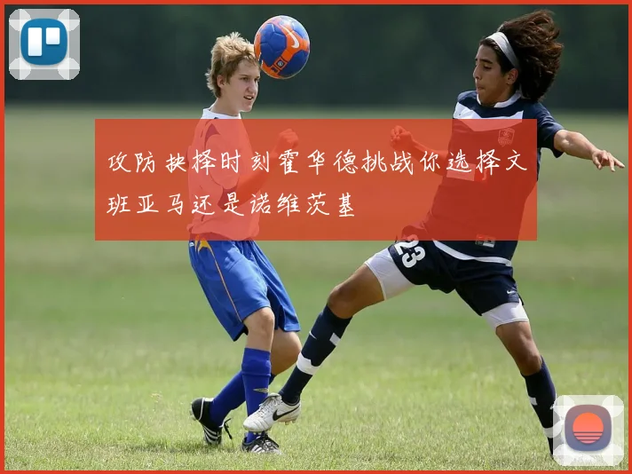 攻防抉择时刻霍华德挑战你选择文班亚马还是诺维茨基