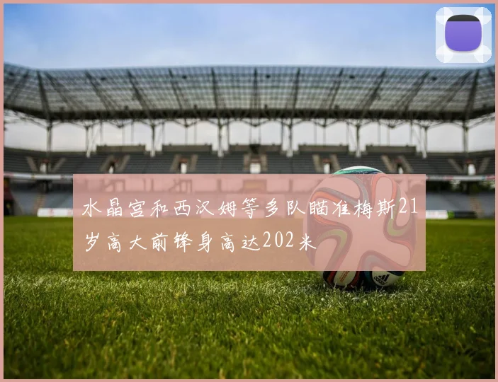 水晶宫和西汉姆等多队瞄准梅斯21岁高大前锋身高达202米